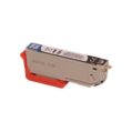 Epson 33XL Photo Black